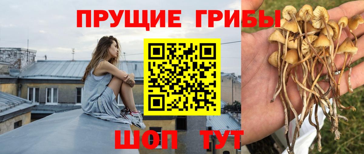 Галлюциногенные грибы ЛСД  Вход с VPN  Алапаевск 